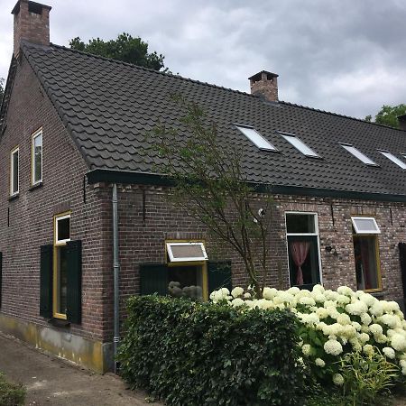 Vakantiehuis In Het Voorhuis Dommelen المظهر الخارجي الصورة