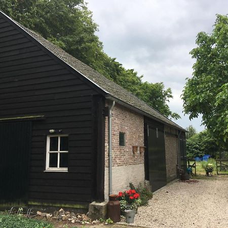 Vakantiehuis In Het Voorhuis Dommelen المظهر الخارجي الصورة